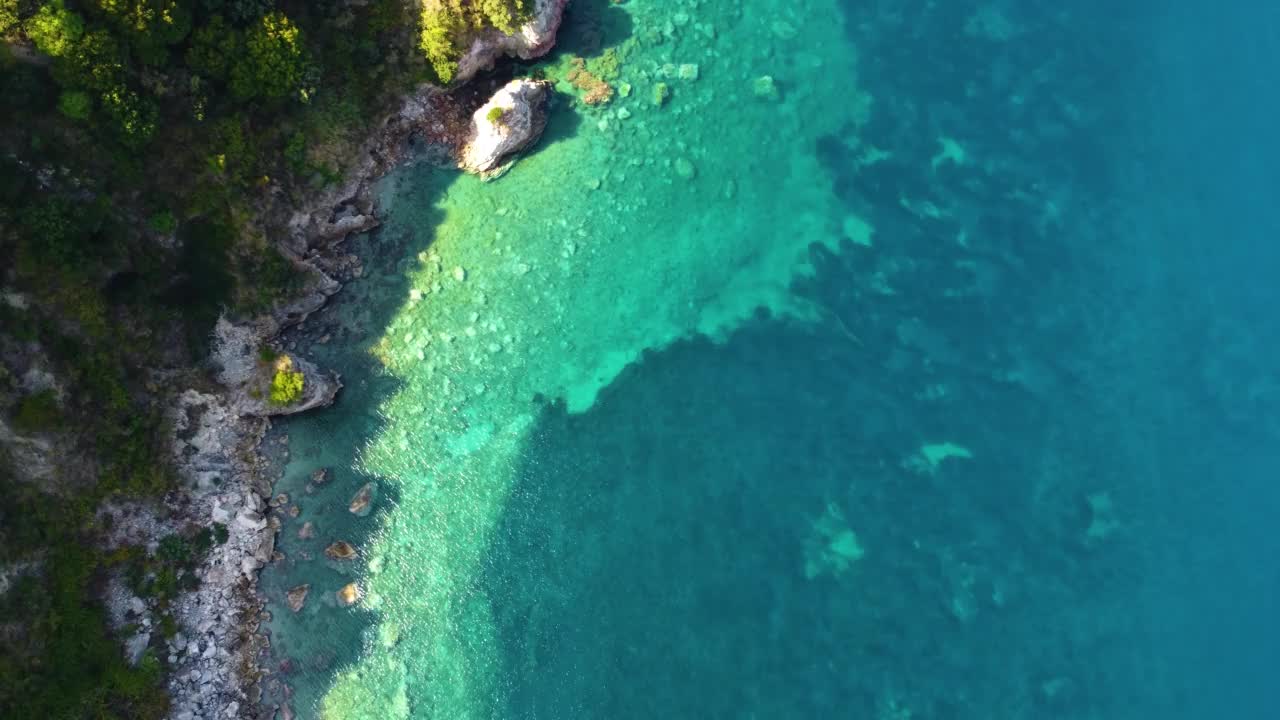 在一个阳光明媚的日子里，航拍碧绿的大海和岸边的树木视频素材