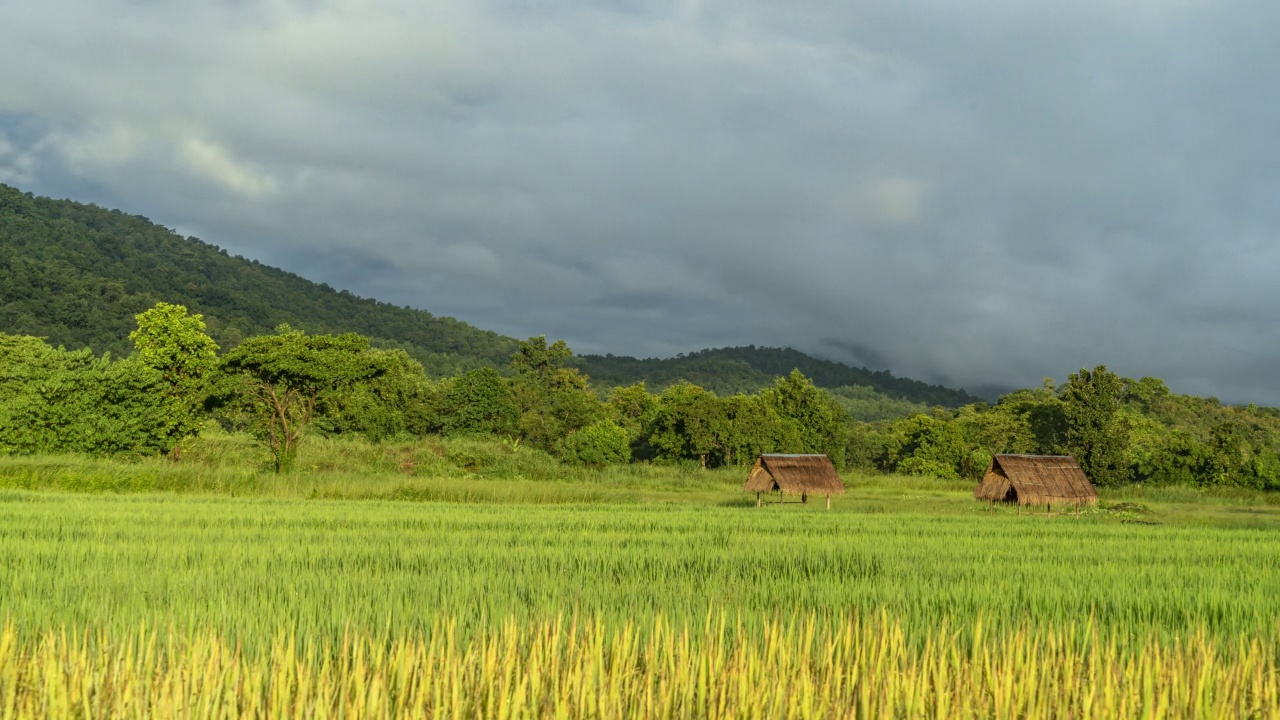 在泰国清迈Huay Thung Tao公园，在雨季的一个清晨，移动的云在山上和稻田上空的时间流逝视频素材