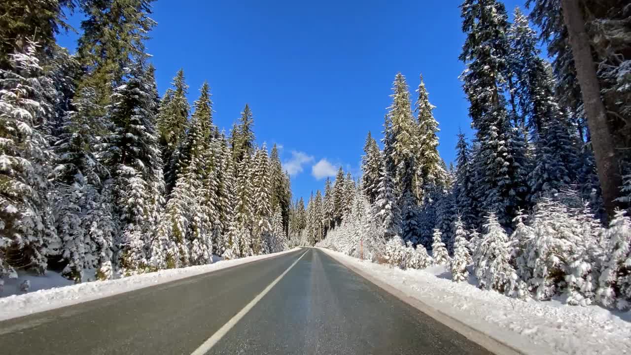 开车的观点在雪乡公路通过白雪白色的森林视频素材