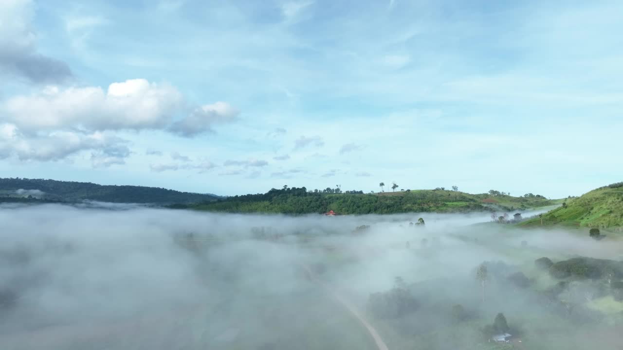 雾中的山在美丽的秋天在泰国碧差汶。雾山谷，云雾低，森林密布，天空五彩缤纷。云杉雾林中的松树与明亮的日出视频素材