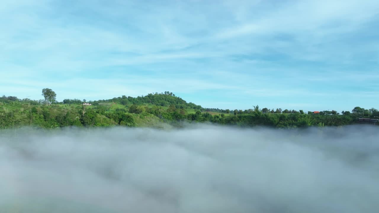 雾中的山在美丽的秋天在泰国碧差汶。雾山谷，云雾低，森林密布，天空五彩缤纷。云杉雾林中的松树与明亮的日出视频素材