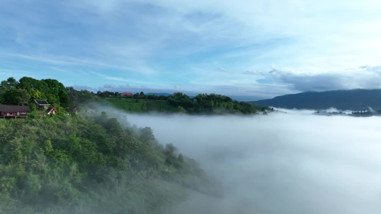 雾中的山在美丽的秋天在泰国碧差汶。雾山谷，云雾低，森林密布，天空五彩缤纷。云杉雾林中的松树与明亮的日出视频素材