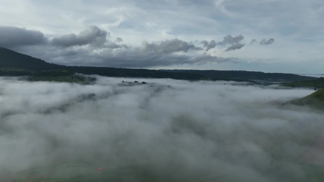 雾中的山在美丽的秋天在泰国碧差汶。雾山谷，云雾低，森林密布，天空五彩缤纷。云杉雾林中的松树与明亮的日出视频素材