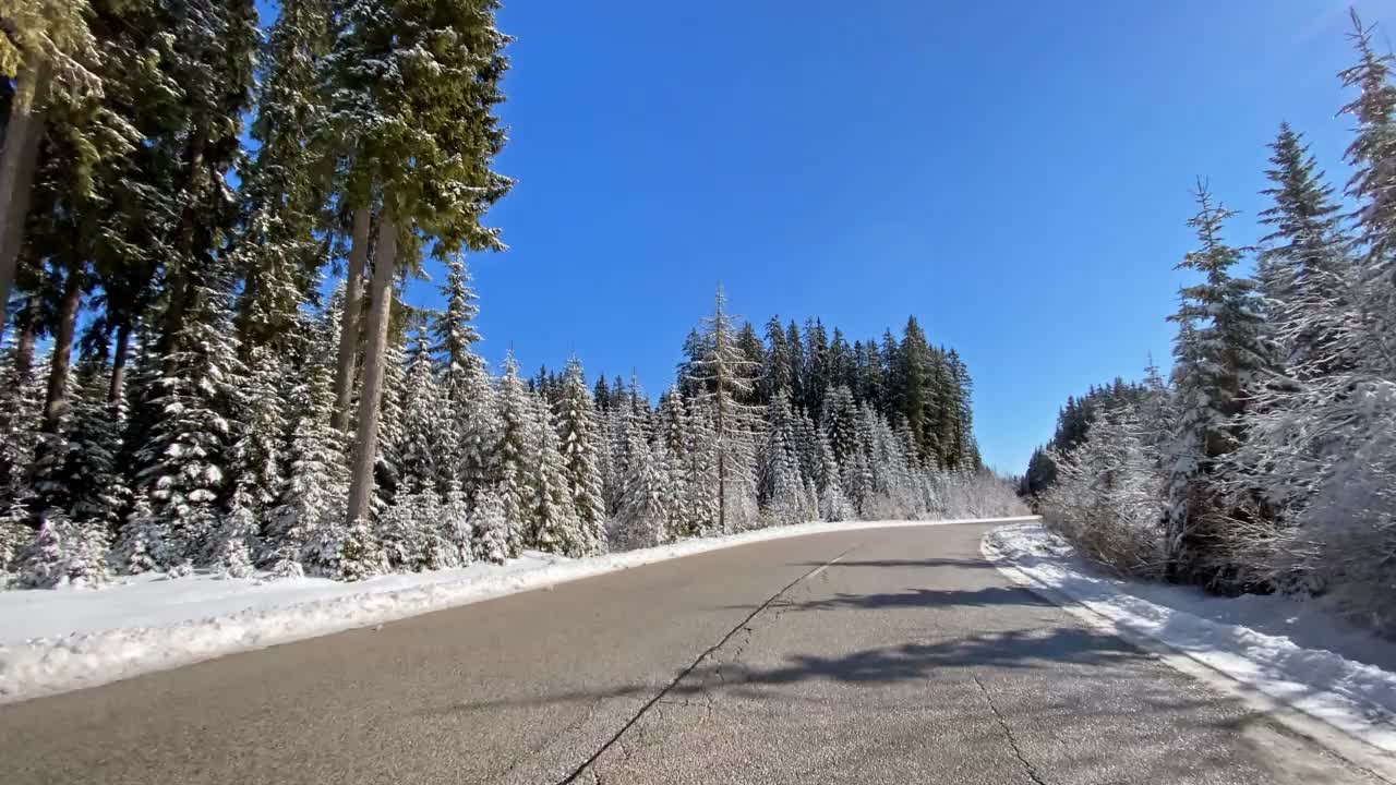 开车的观点在雪乡的道路通过白色的森林视频素材