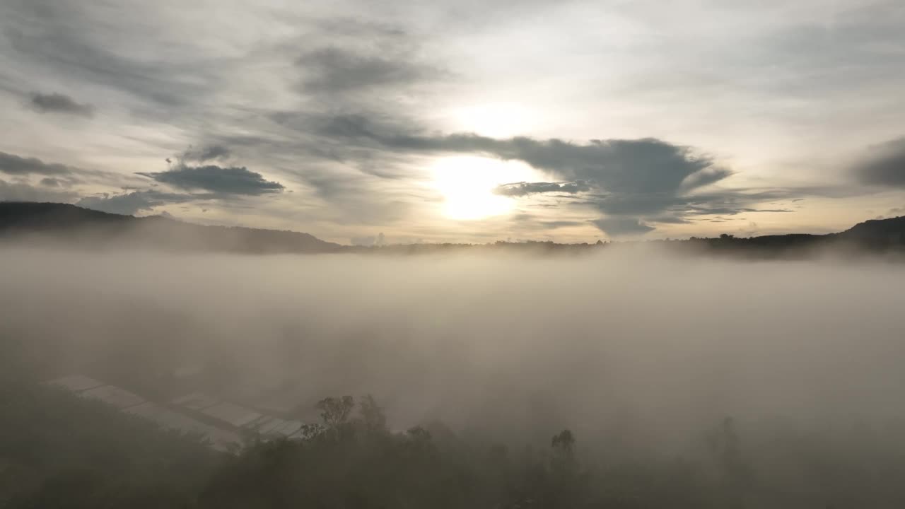 雾中的山在美丽的秋天在泰国碧差汶。雾山谷，云雾低，森林密布，天空五彩缤纷。云杉雾林中的松树与明亮的日出视频素材