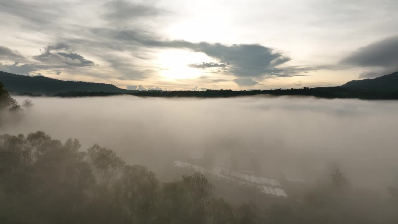 雾中的山在美丽的秋天在泰国碧差汶。雾山谷，云雾低，森林密布，天空五彩缤纷。云杉雾林中的松树与明亮的日出视频素材