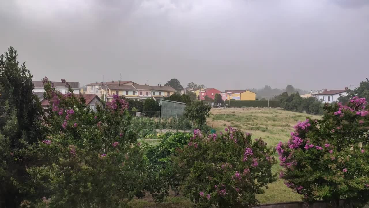 强风和雷雨打在花园里的树上视频素材