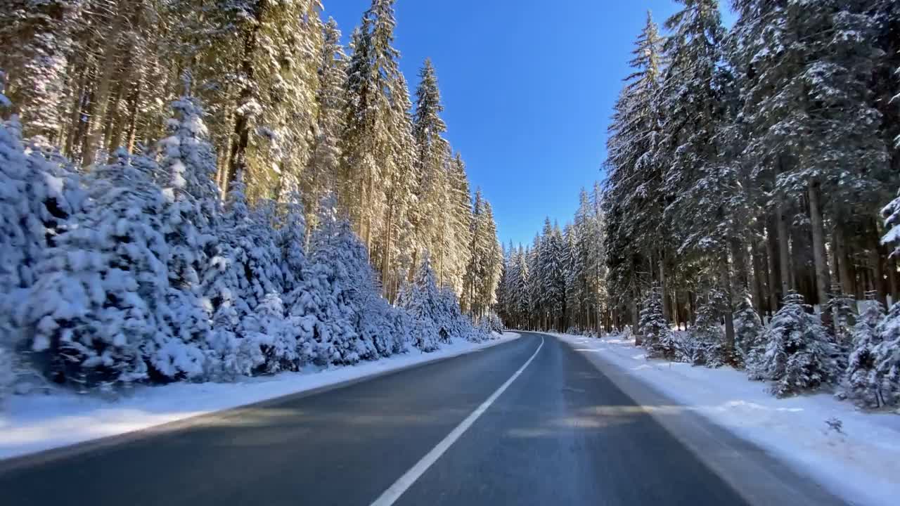 冬天，在一个阳光明媚的日子里，沿着积雪覆盖的森林行驶在空旷的路上视频素材