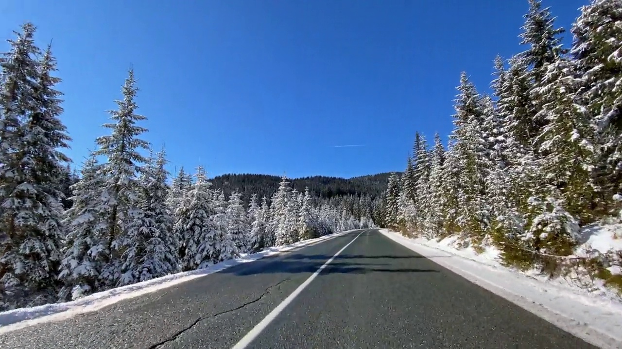 在积雪覆盖的森林里的冬季道路上开车视频素材