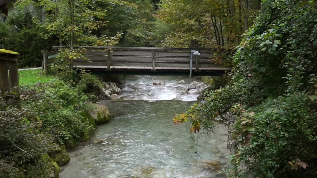 山上有一条小河流，里面有岩石，周围有植物和树木视频素材