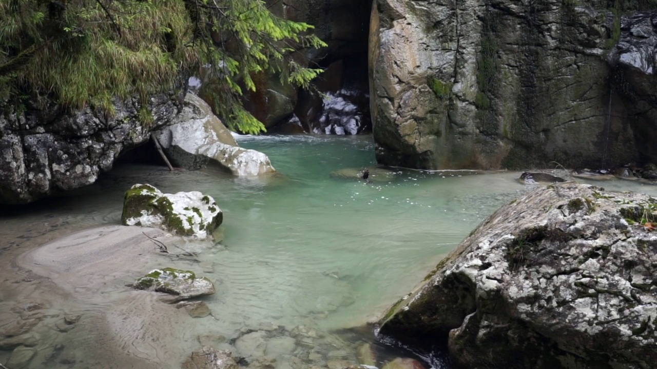 山上有一条小河流，里面有岩石，周围有植物和树木视频素材