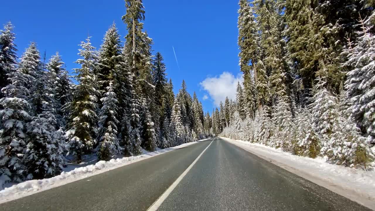 冬天，在一个阳光明媚的日子里，沿着积雪覆盖的森林行驶在空旷的路上视频素材