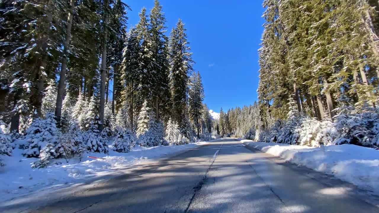 开车穿过积雪覆盖的森林在冬季景观视频素材