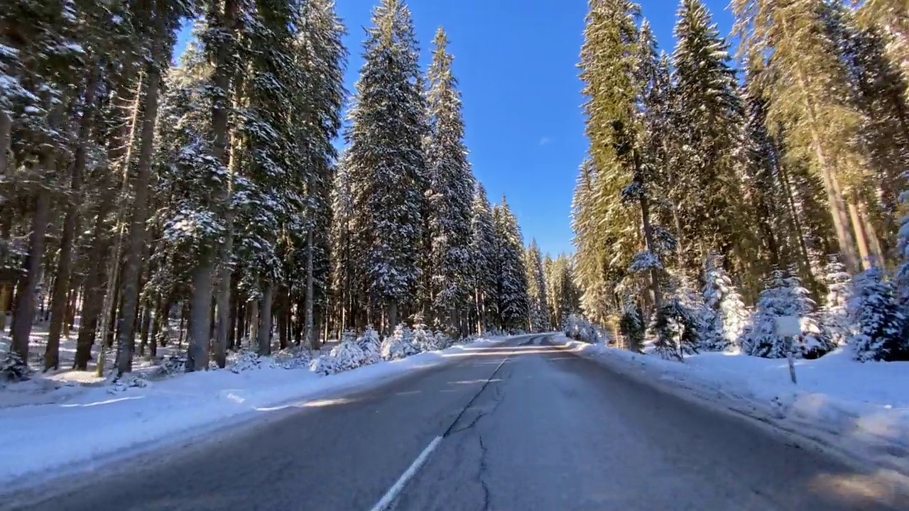 在积雪覆盖的森林里的冬季道路上开车视频素材