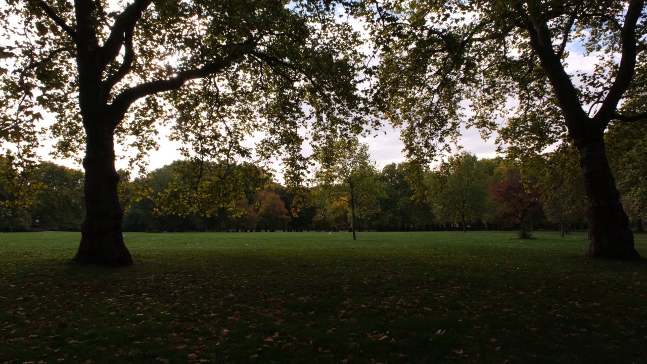 伦敦Greenpark车站的秋季公园景观。秋天的树木景观。初秋早晨阳光灿烂，晴天。视频下载