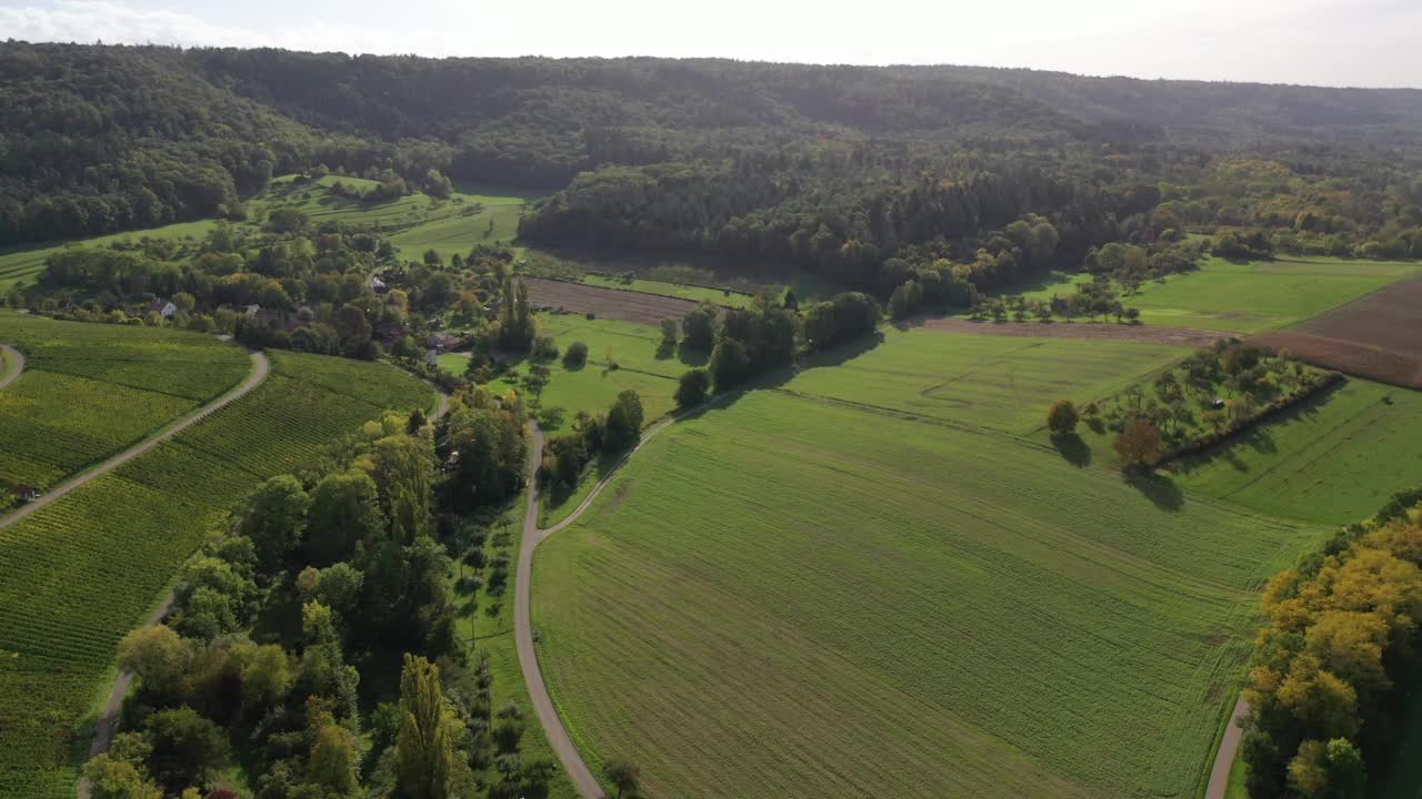 远处的自然景观，秋天的农业区，西部地区的草甸和森林Zabergäu，斯瓦比亚Baden-Württemberg视频素材