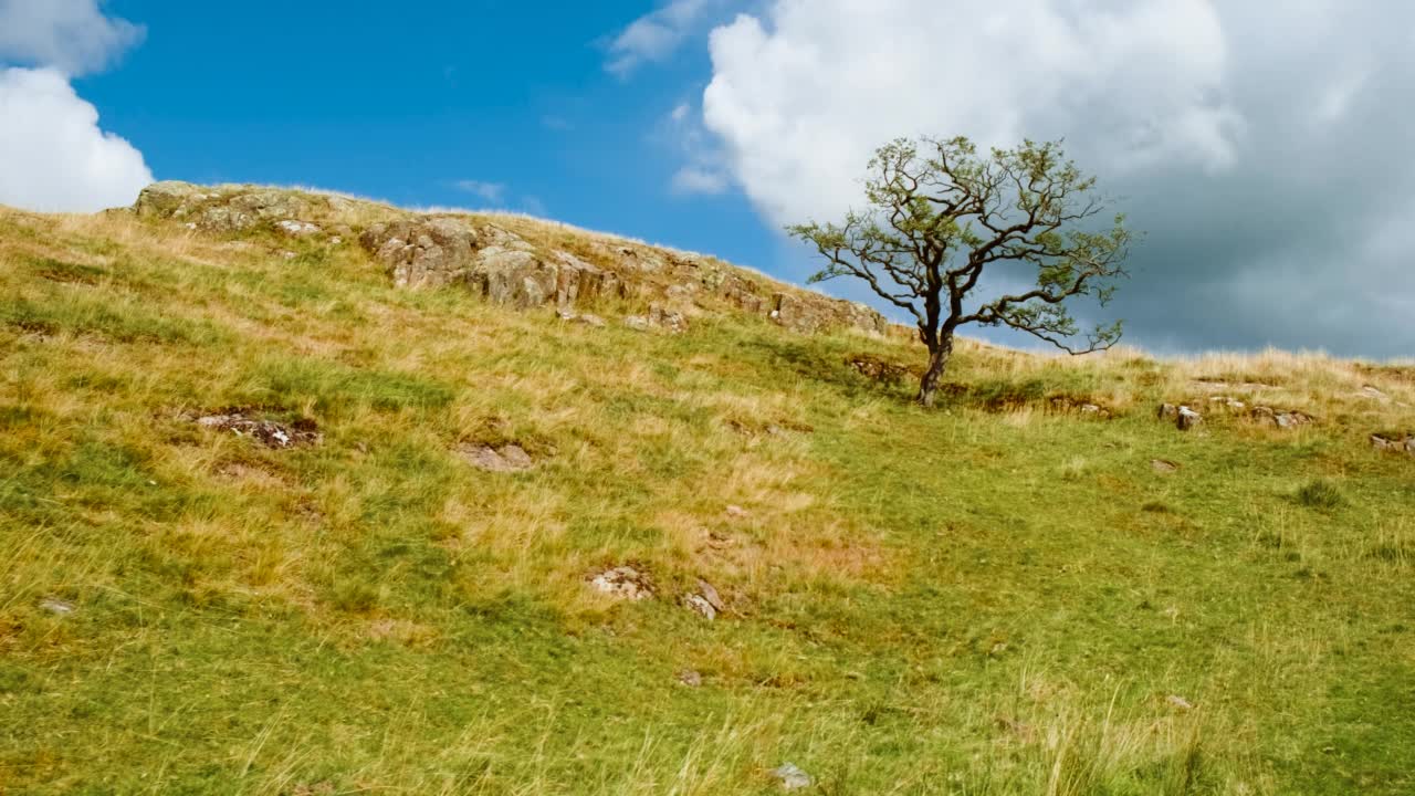 哈德良长城，诺森伯兰，英格兰，英国视频素材