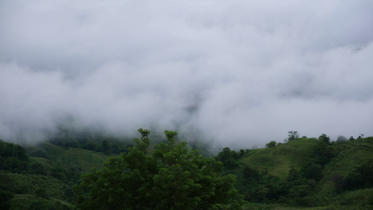 雾在绿色的雨林和山丘上缓慢移动视频素材