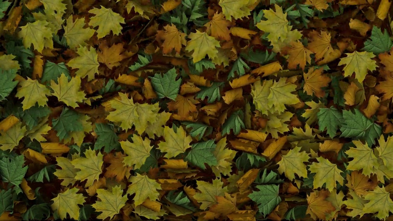 秋叶落下的视频过渡与Alpha频道视频素材