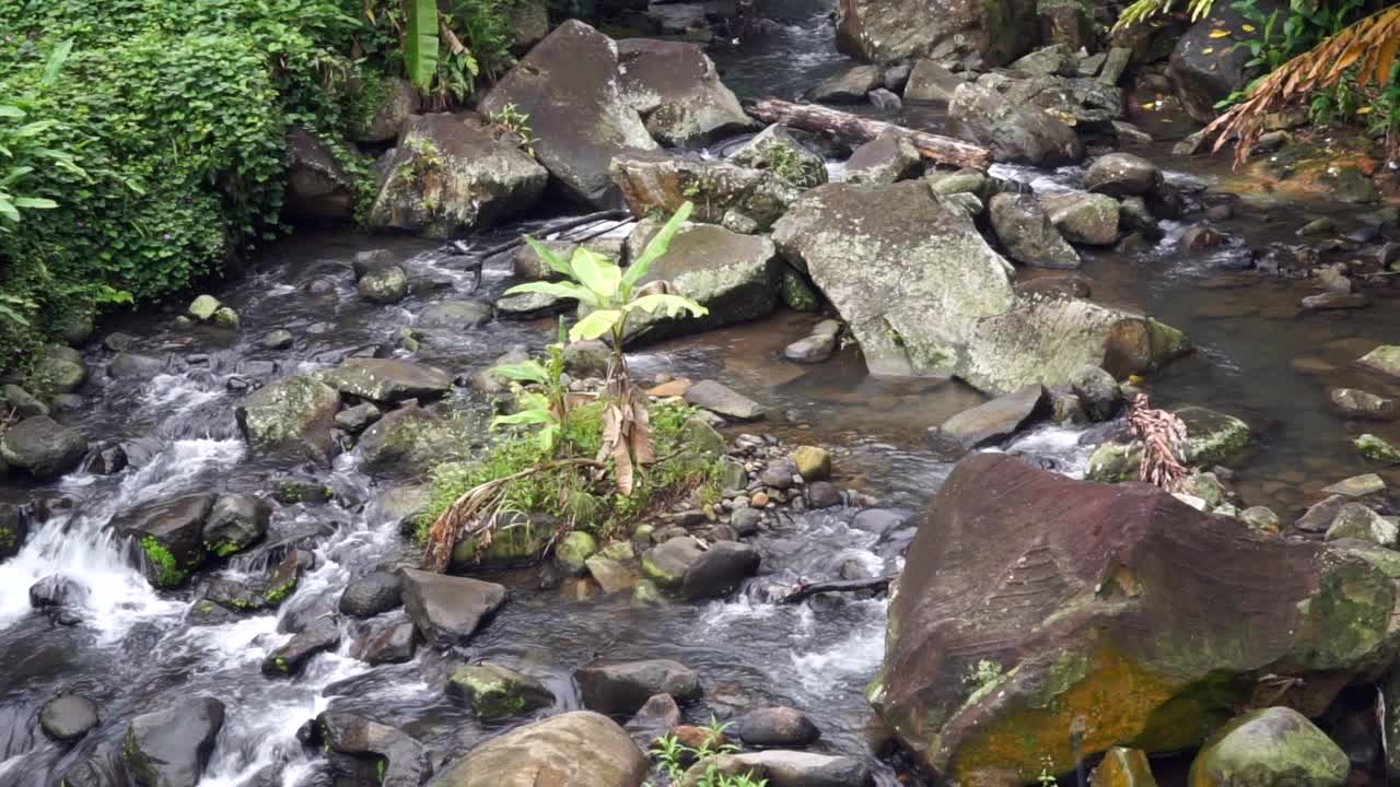 流水的景色令人放松视频素材