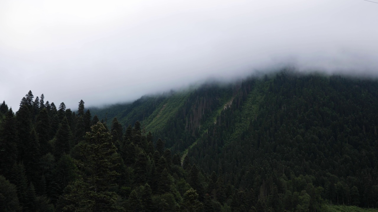 在大雾弥漫的夏日里，缆车可以穿过柬埔寨的针叶林和高山。视频素材