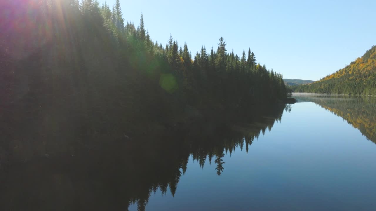 秋日日出时的北方森林自然鸟瞰图，加拿大魁北克视频素材