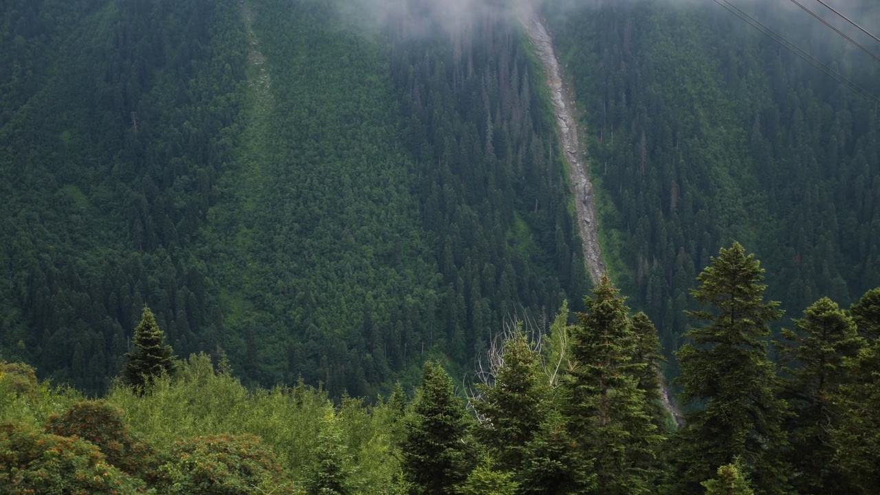 在大雾弥漫的夏日里，缆车可以穿过柬埔寨的针叶林和高山。视频素材