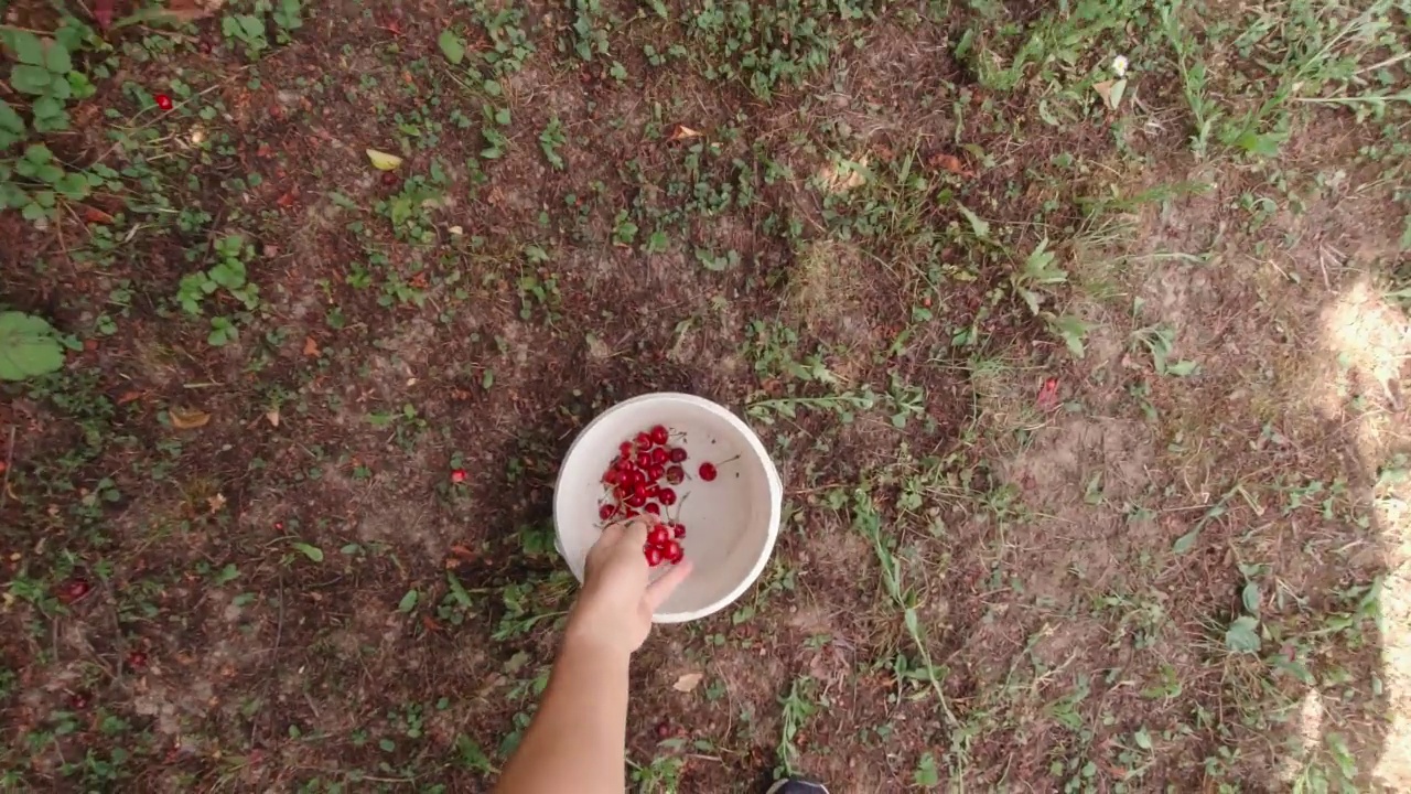 一个男人用慢镜头摘樱桃视频素材