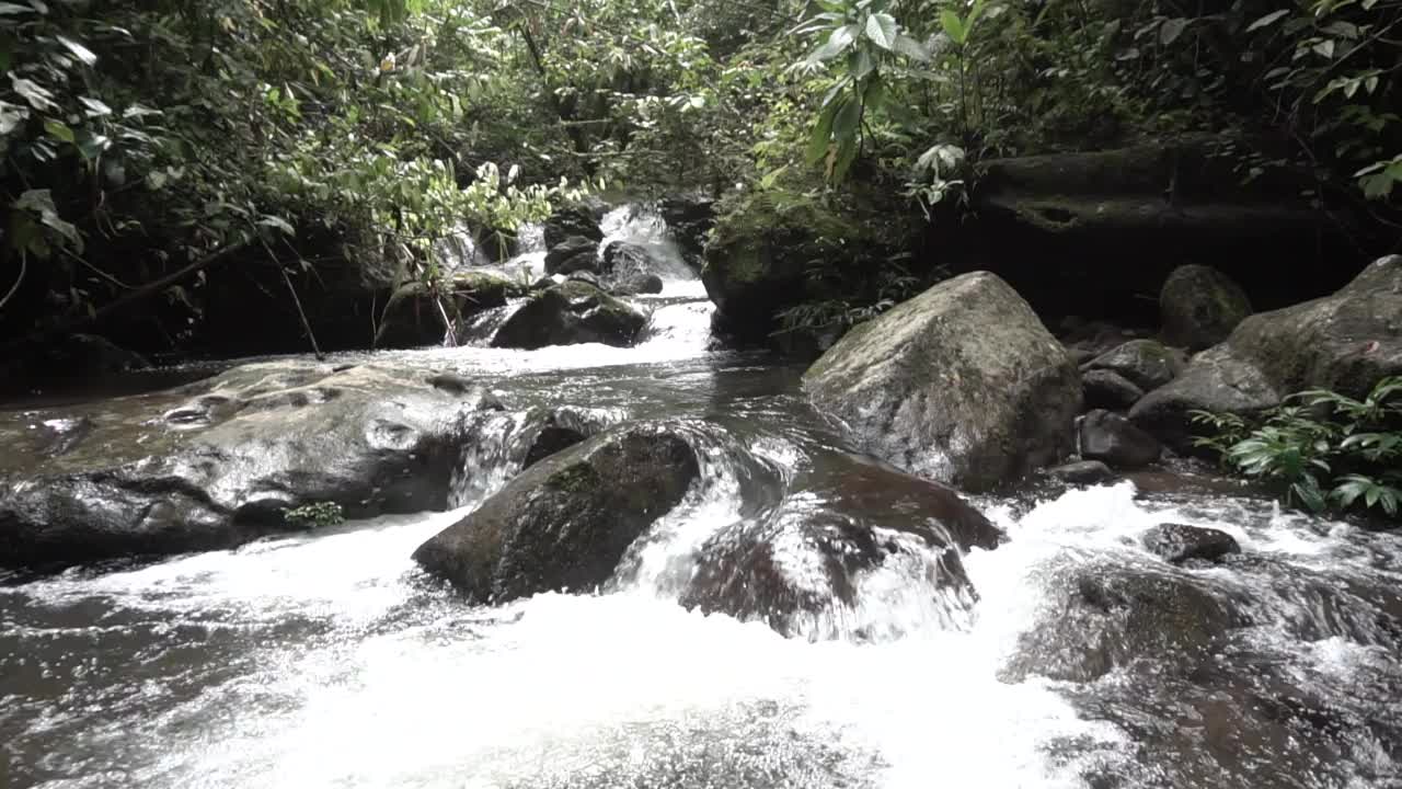 水在河里流动视频素材