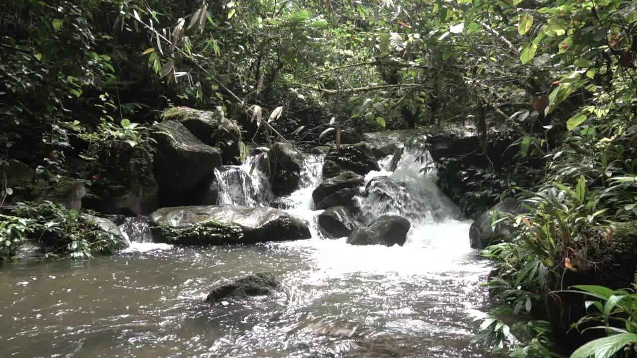 水在河里流动视频素材