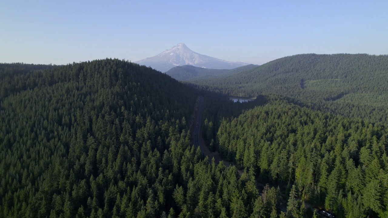 森林中的火山视频素材