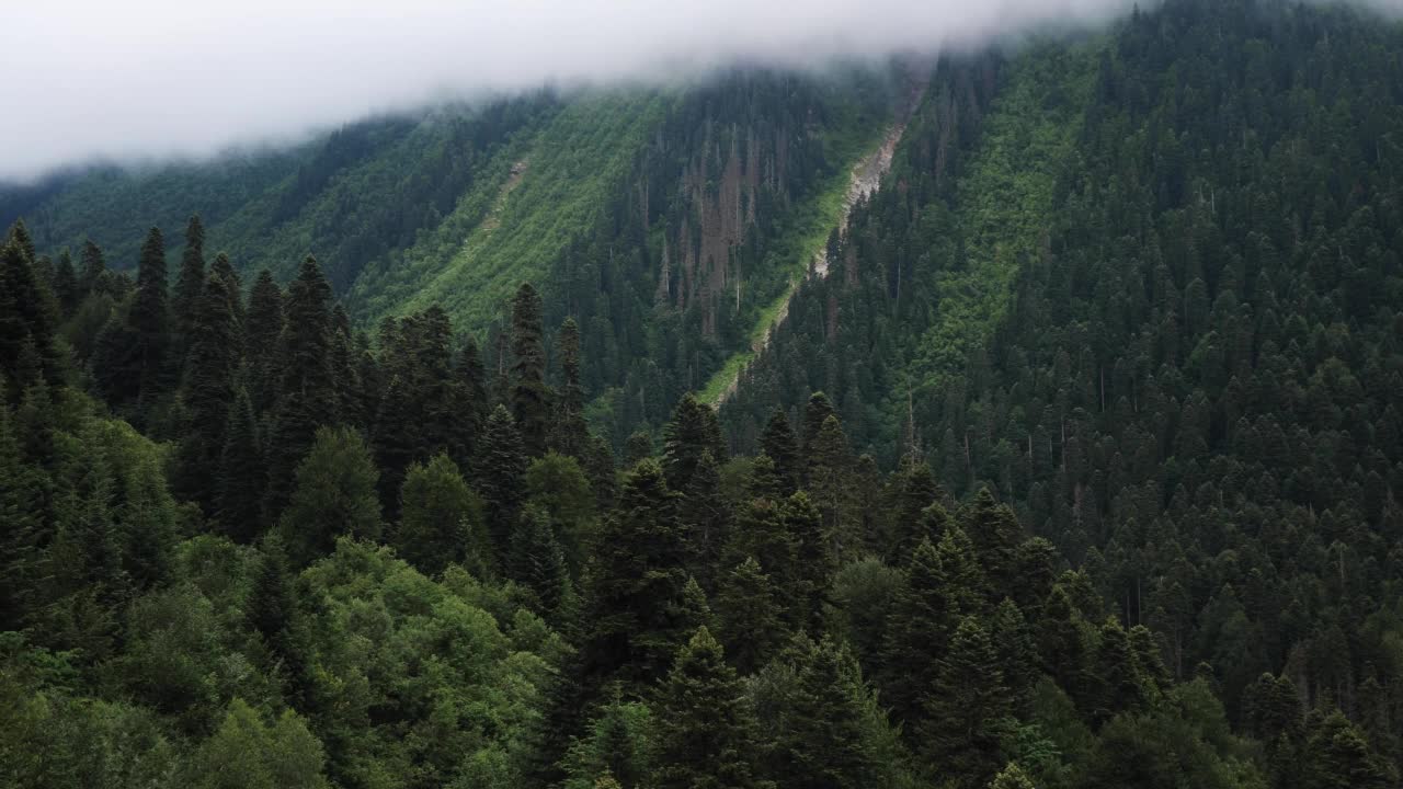 在大雾弥漫的夏日里，缆车可以穿过柬埔寨的针叶林和高山。视频素材