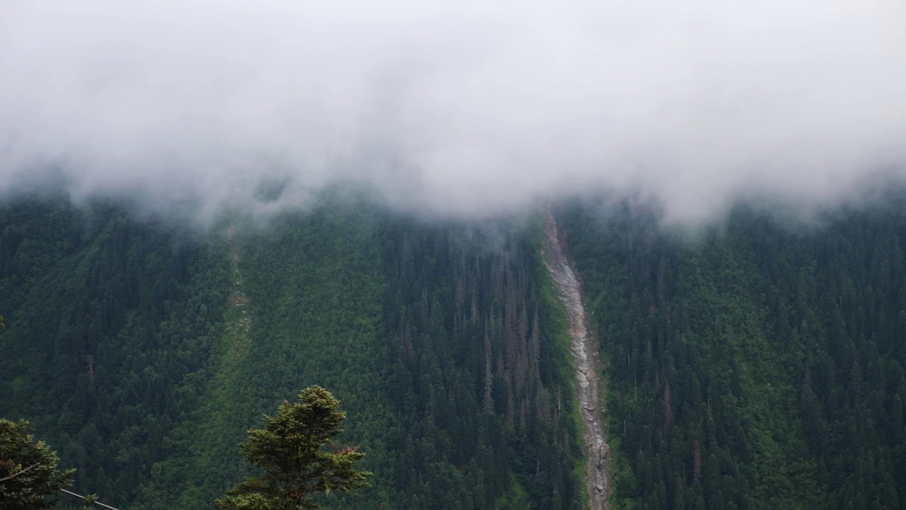 在大雾弥漫的夏日里，缆车可以穿过柬埔寨的针叶林和高山。视频素材