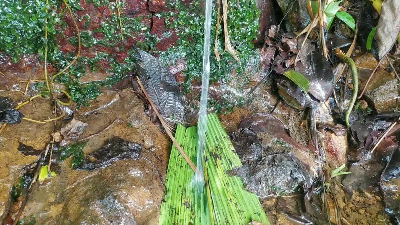 从悬崖上观察自然的阵雨视频下载