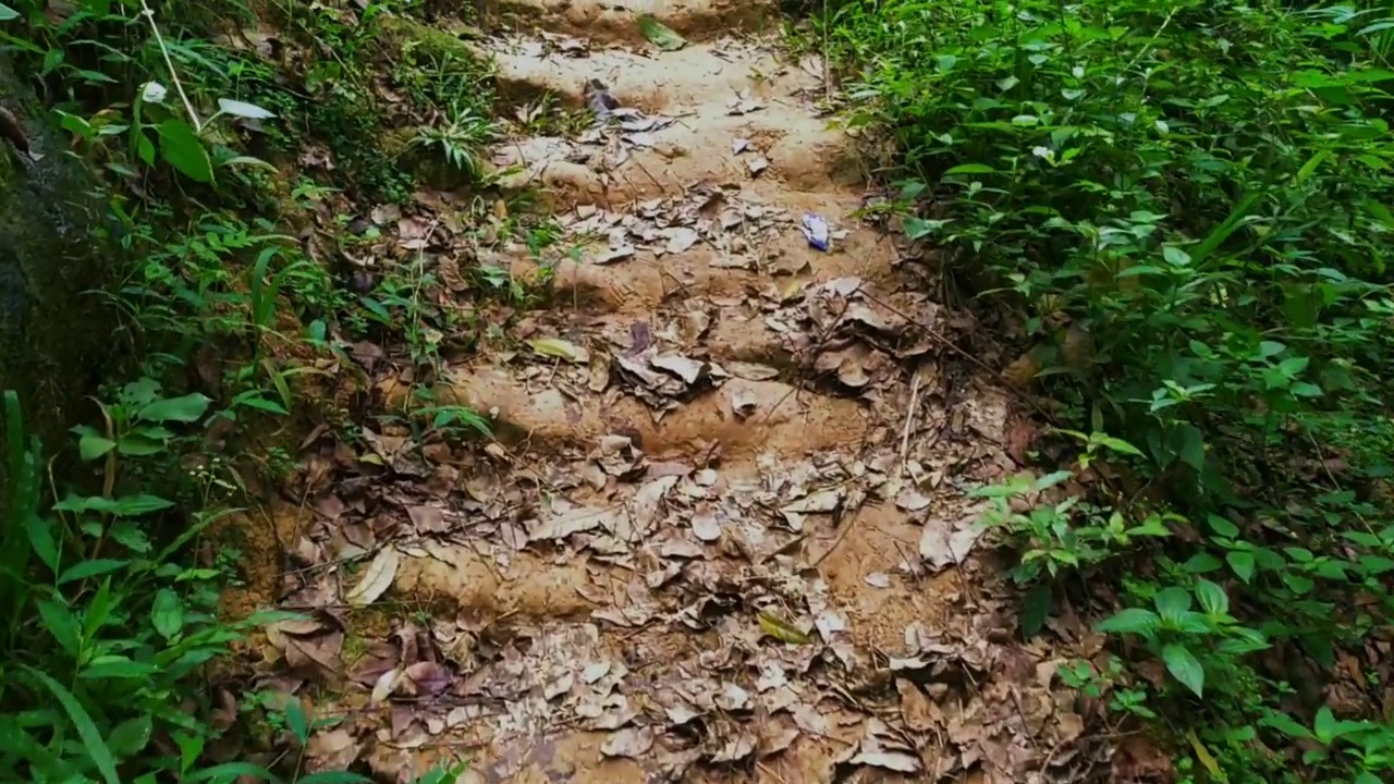 走在山间的小路上视频下载