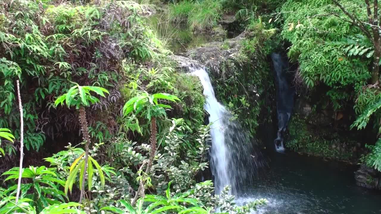 田园诗般的热带雨林瀑布视频素材