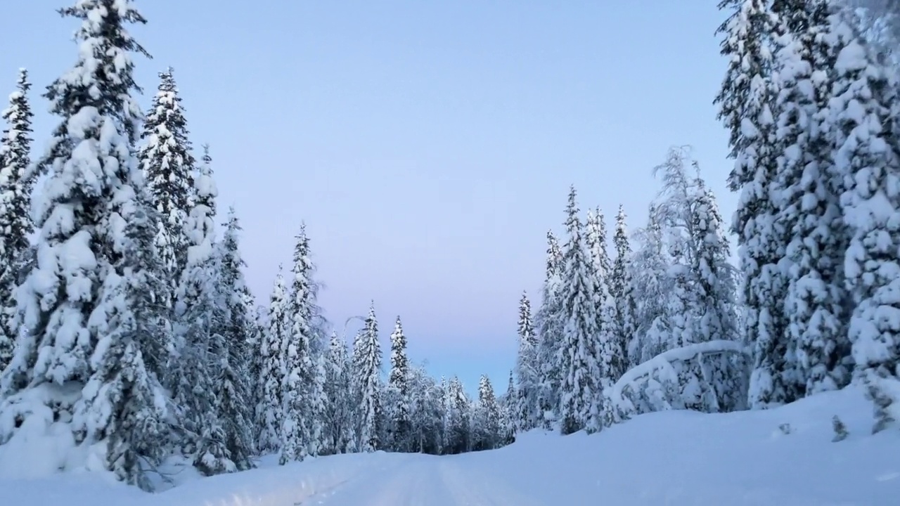 在雪林中间的一条冬日小路上开车视频素材