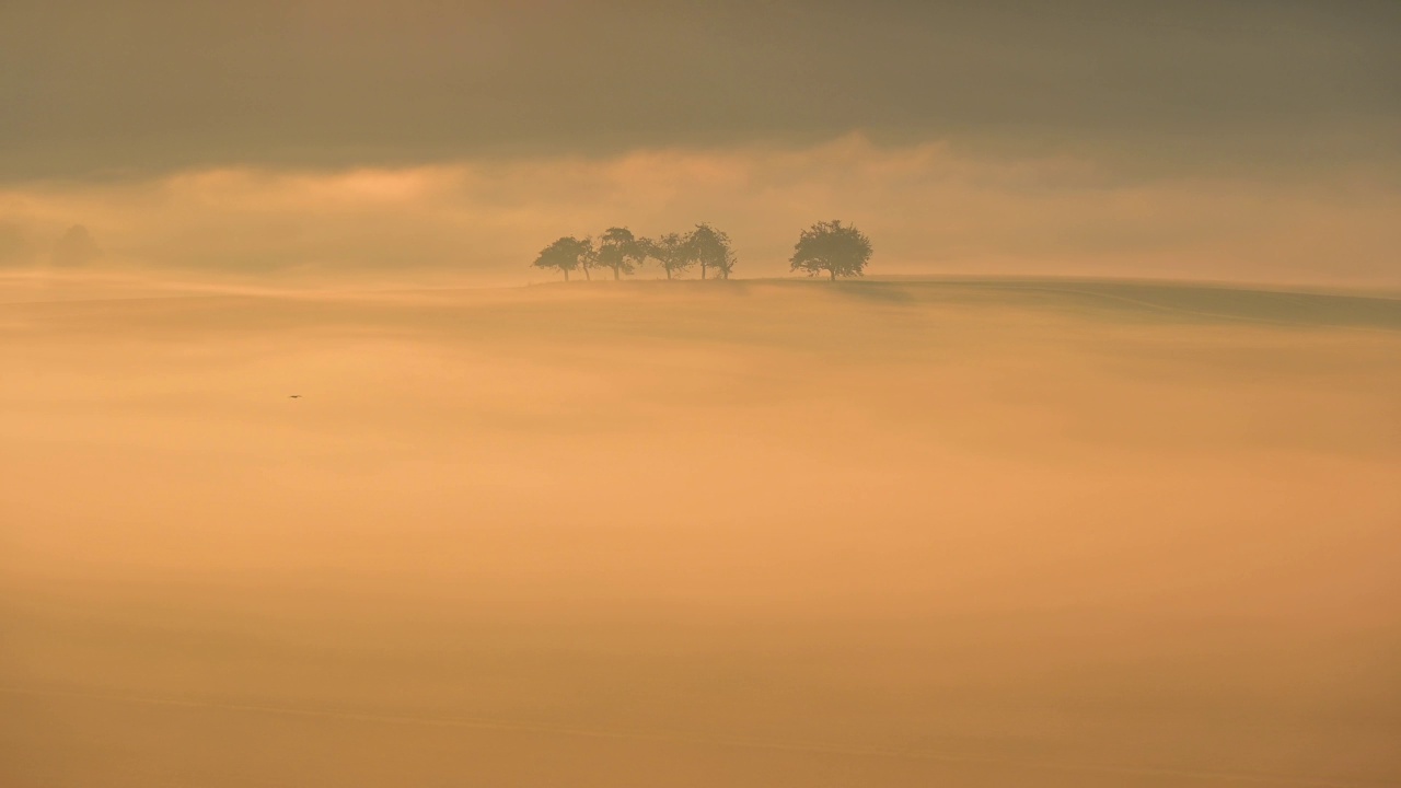 Landscape on a foggy morning, Höhefeld, Wertheim, Baden-Württemberg, Germany视频素材