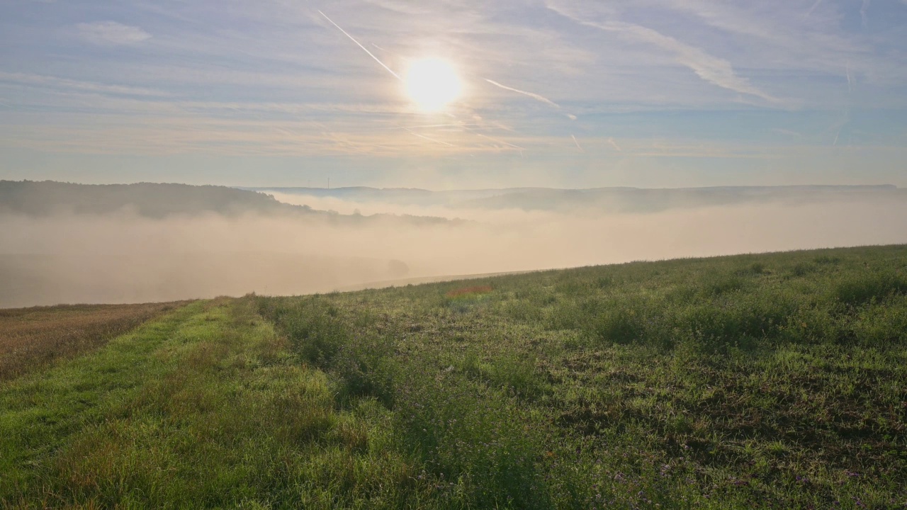 Country road in the morning, Werbach, Baden-Württemberg, Germany视频素材