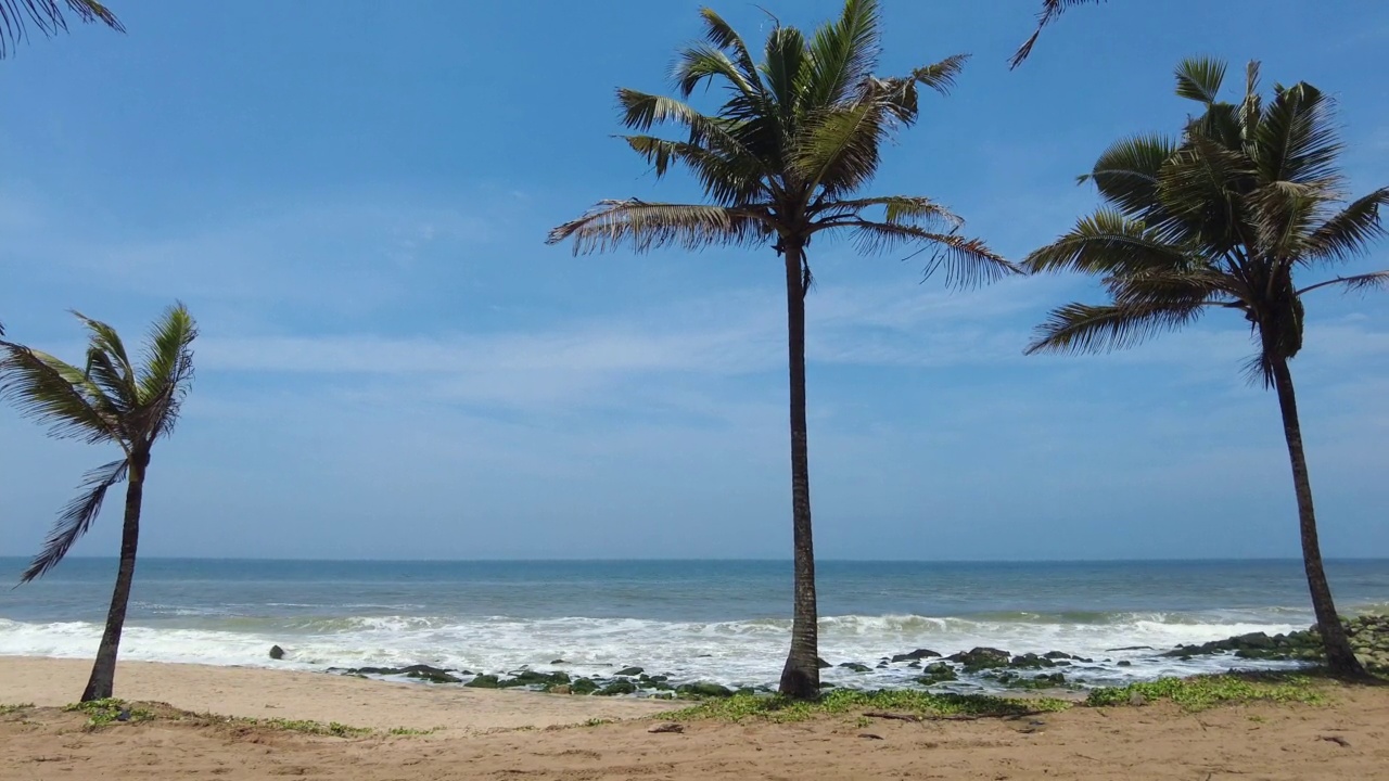 海滩上的椰子树，Kanyakumari区，泰米尔纳德邦的海岸线，海景视频素材