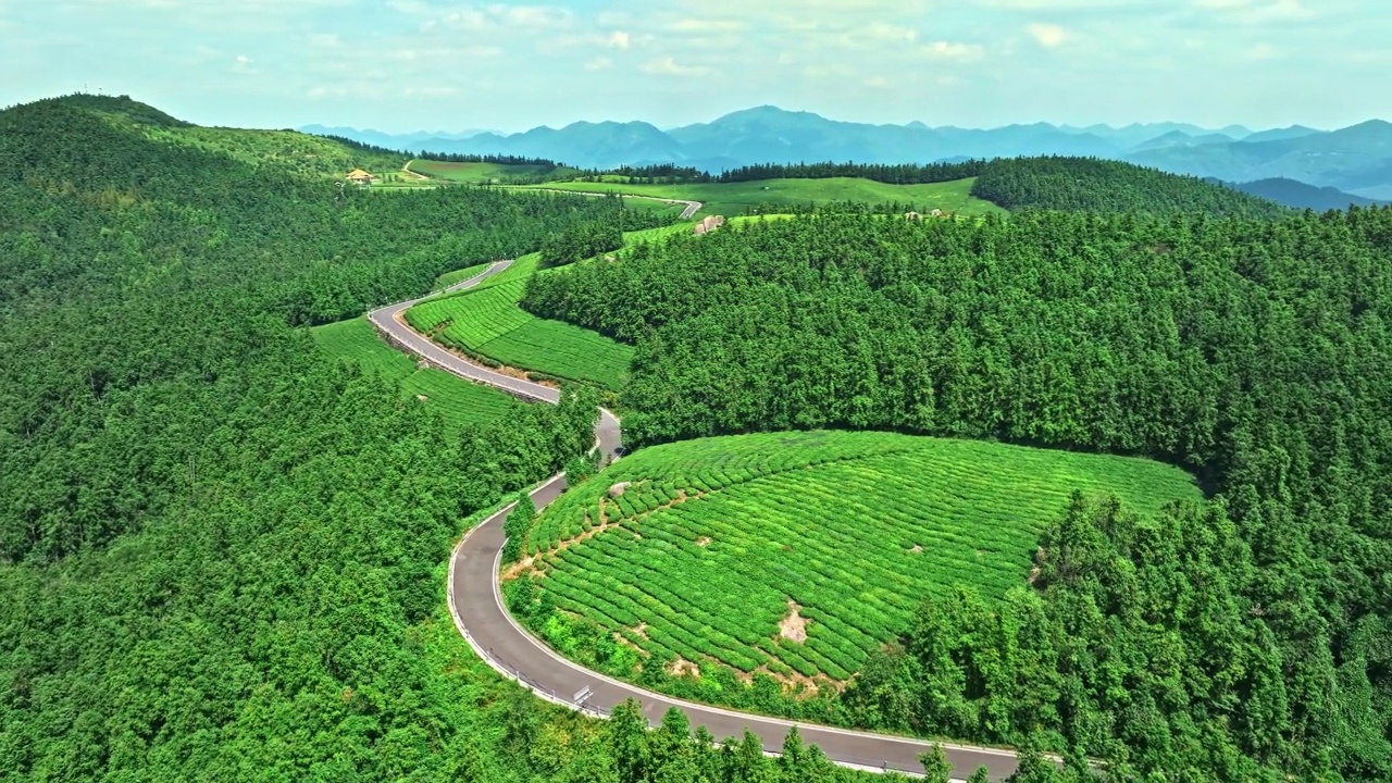 沥青路面鸟瞰图，绿色森林自然风光视频素材