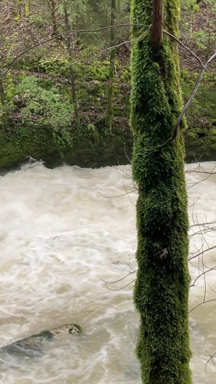 瑞士Taubenloch峡谷暴雨期间的大量水视频下载