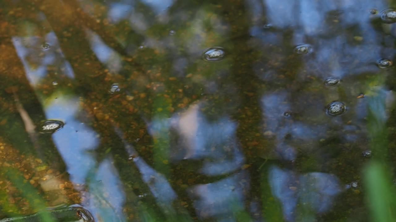 山泉里的水缓缓地流着。生态概念高清画面视频下载