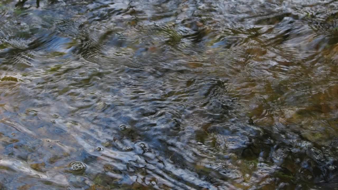 山泉里的水缓缓地流着。生态概念高清画面视频下载