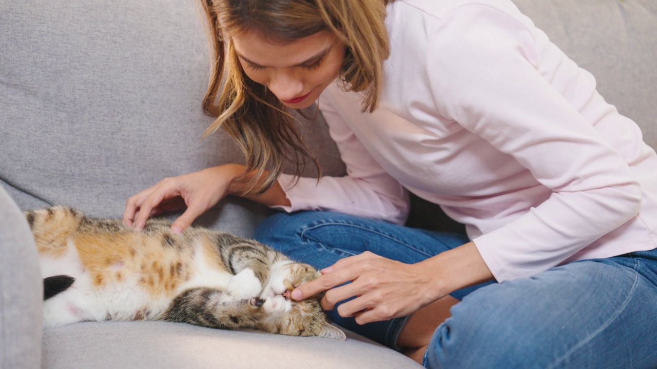 快乐的年轻女子和猫在家里的沙发上。视频素材