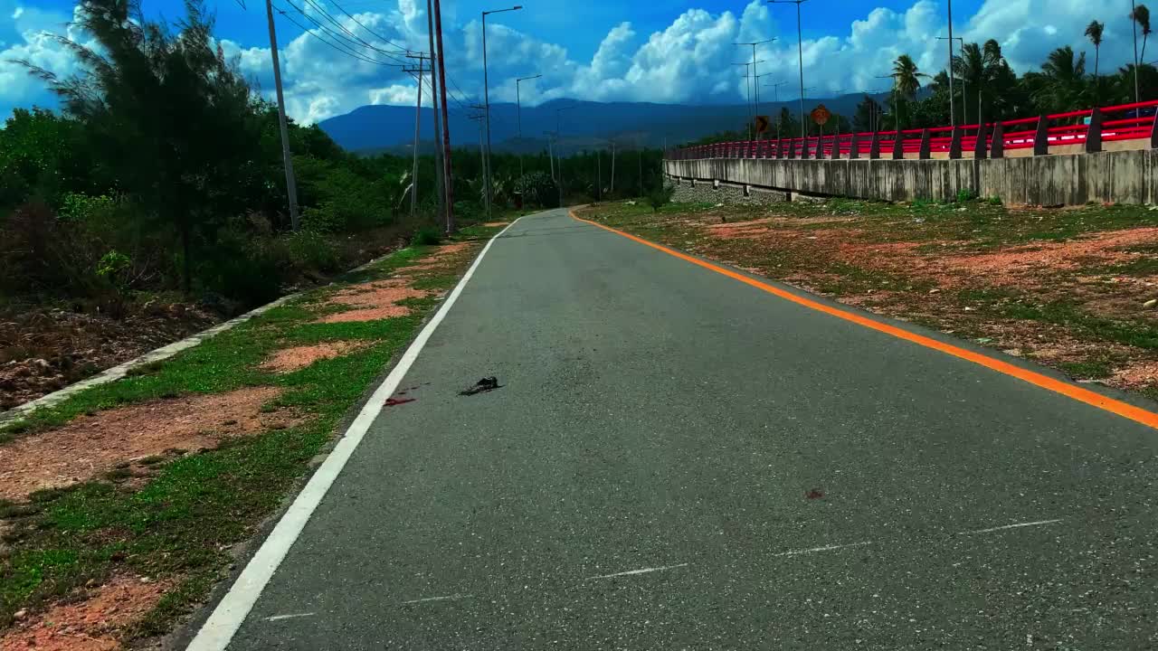 美丽的公路和树木视频素材