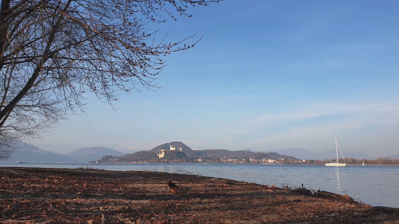 从岸上看马乔里湖上的帆船，阿罗那。静态的照片视频素材