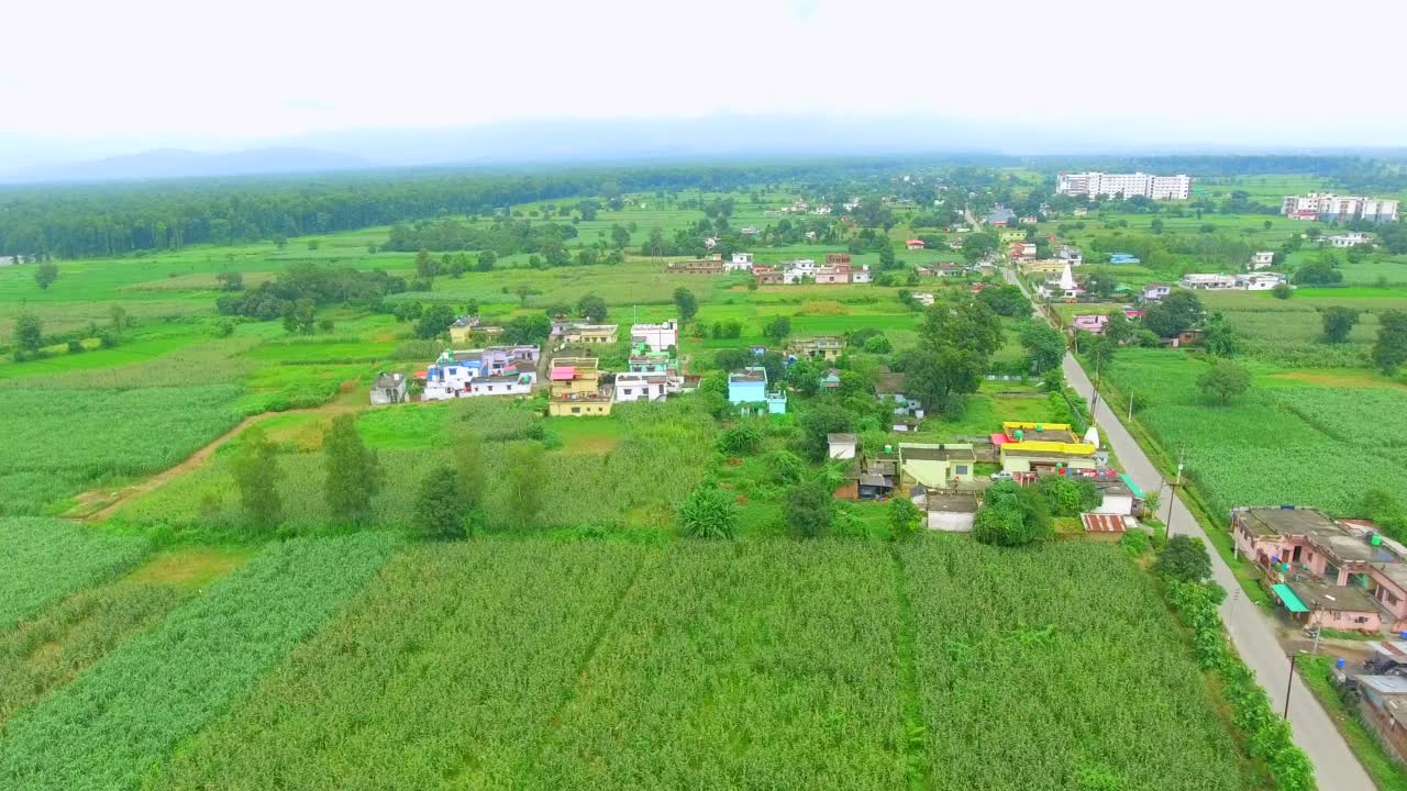 玉米饲草青贮农场和田间无人机拍摄视频素材