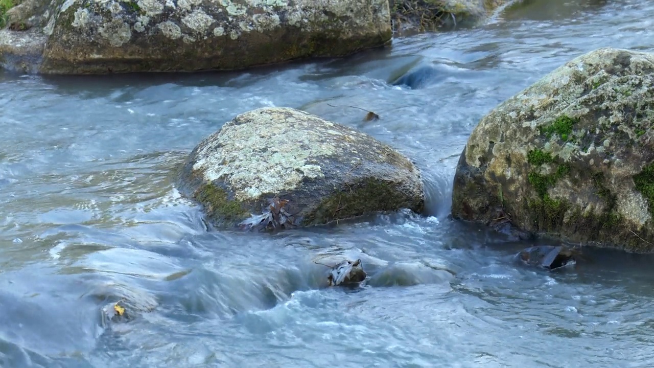 水:从小溪岩石上流过的水视频素材