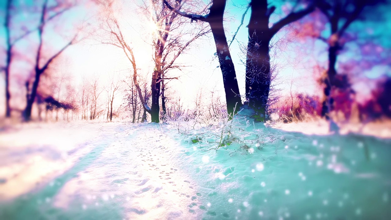 冬天的风景,日落。雪花的背景视频素材